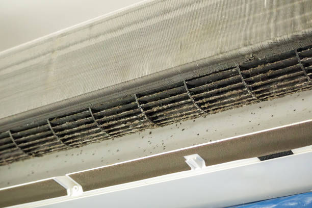Ductwork Cleaning Services in First Mesa, AZ